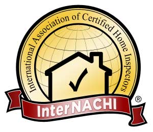 NACHI Logo.jpg